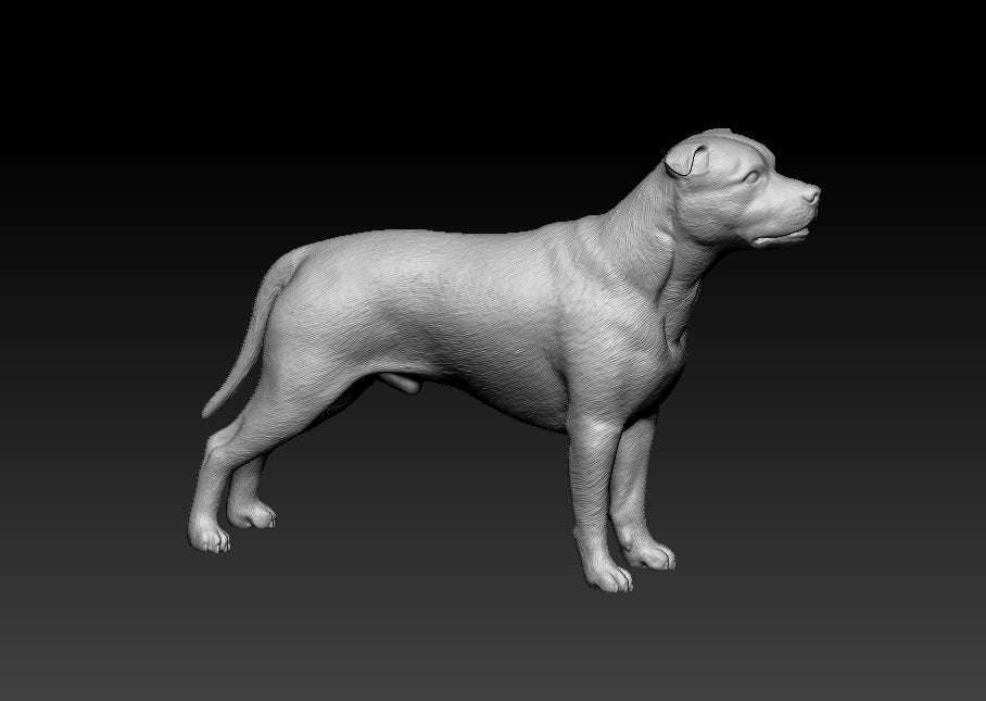 Staffordshire bull terrier dog artist resin - white resin ready to prep / paint ALL SCALES