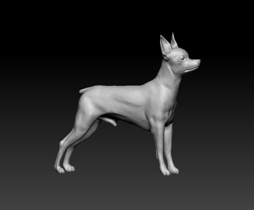 Toy terrier artist resin - white resin ready to prep / paint ALL SCALES