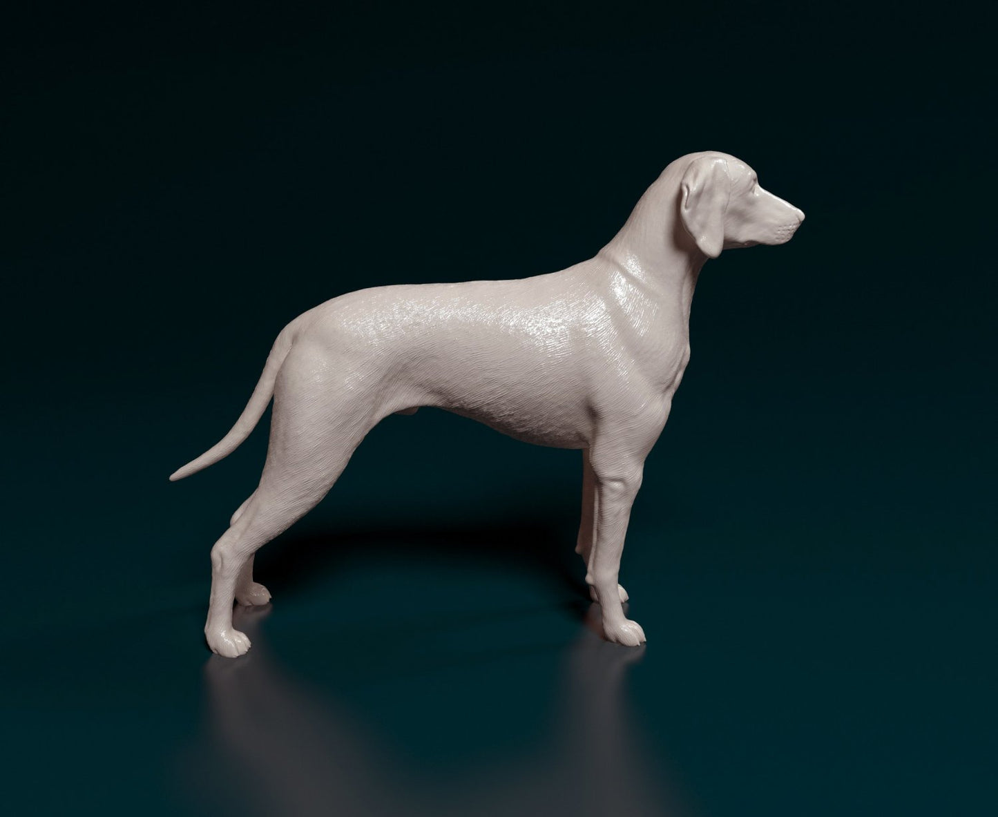 Weimeraner artist resin - white resin ready to prep / paint ALL SCALES