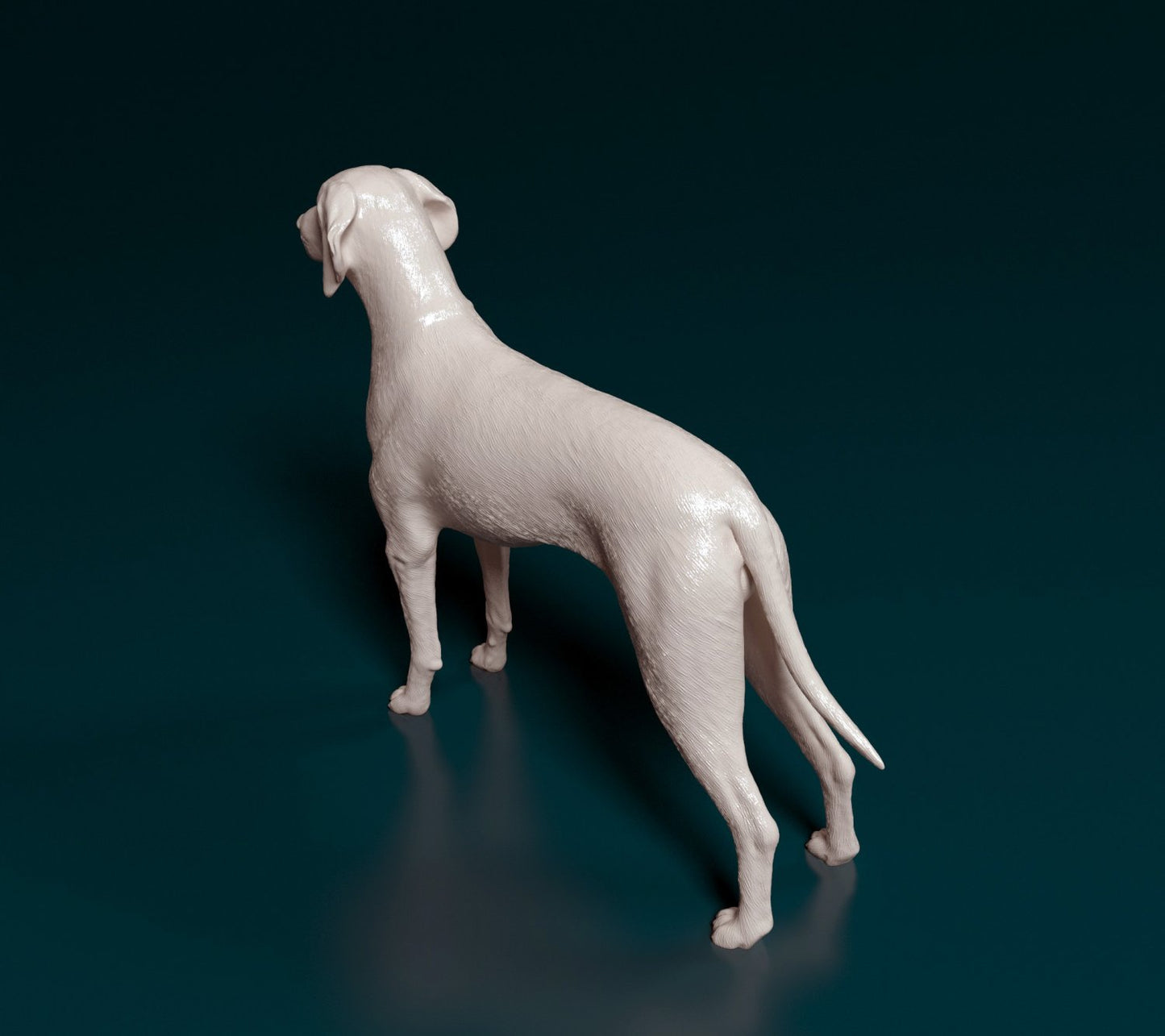 Weimeraner artist resin - white resin ready to prep / paint ALL SCALES