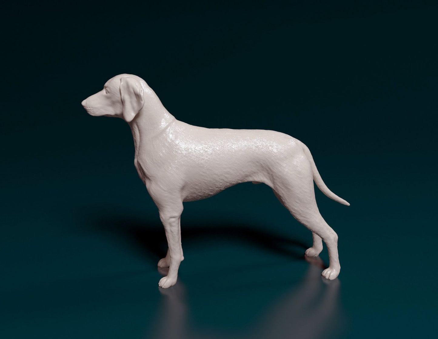 Weimeraner artist resin - white resin ready to prep / paint ALL SCALES