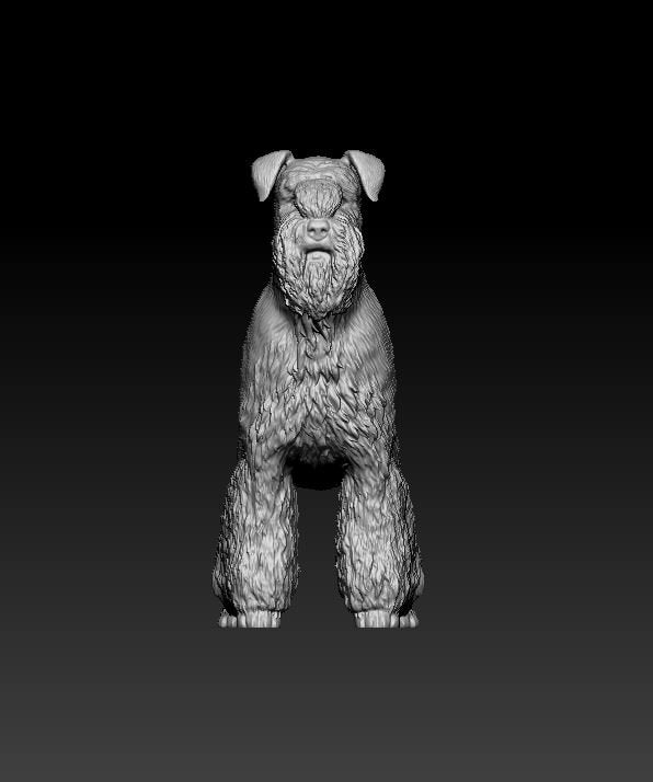 Miniature schnauzer artist resin - white resin ready to prep / paint ALL SCALES
