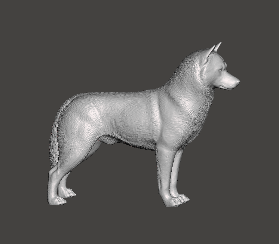 Siberian Husky - white ready to paint