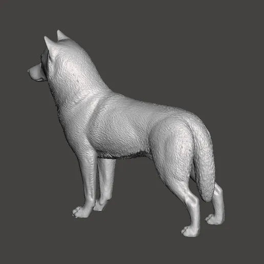 Siberian Husky - white ready to paint