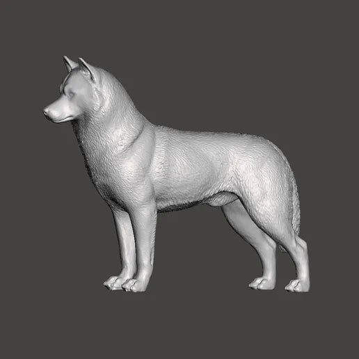 Siberian Husky - white ready to paint