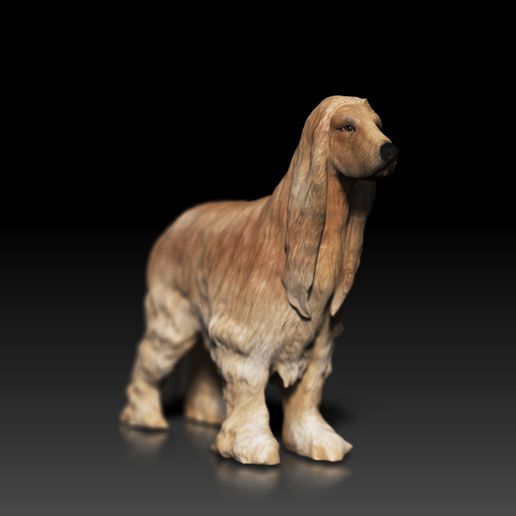 Afghan Hound - white ready to paint
