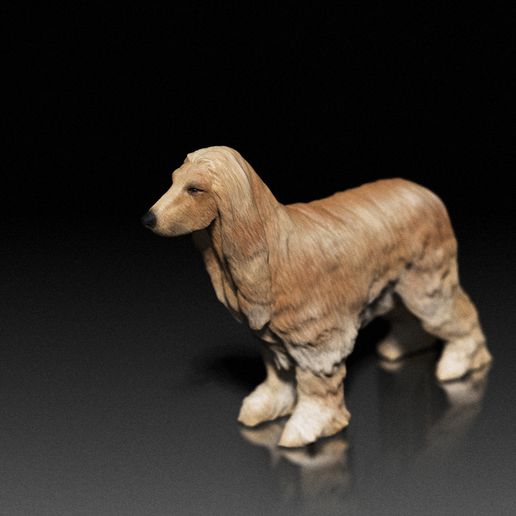 Afghan Hound - white ready to paint