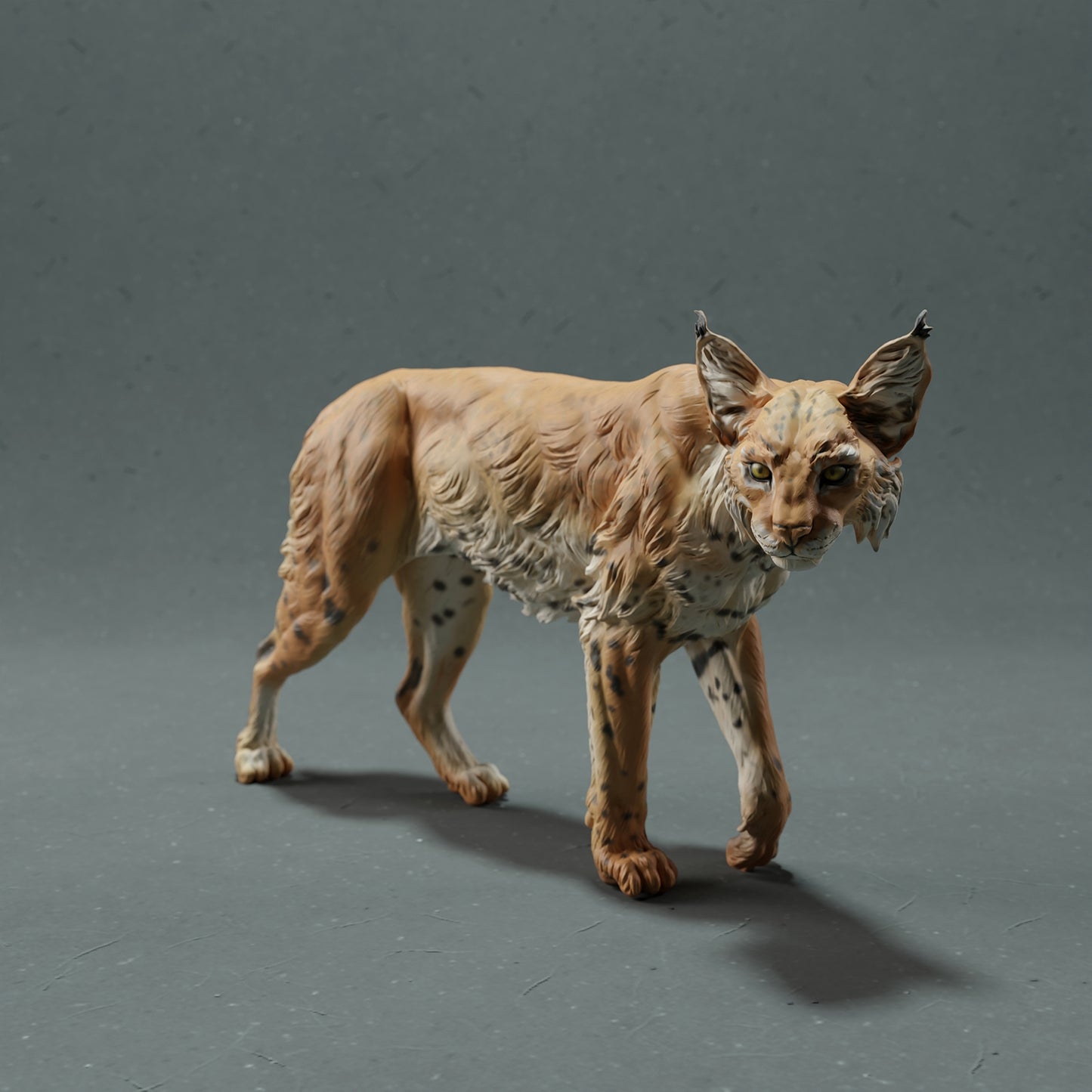 Bobcat - White ready to paint