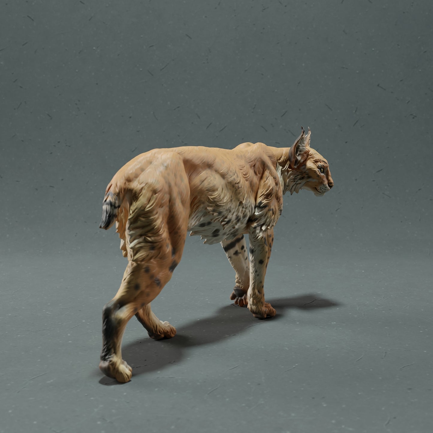 Bobcat - White ready to paint