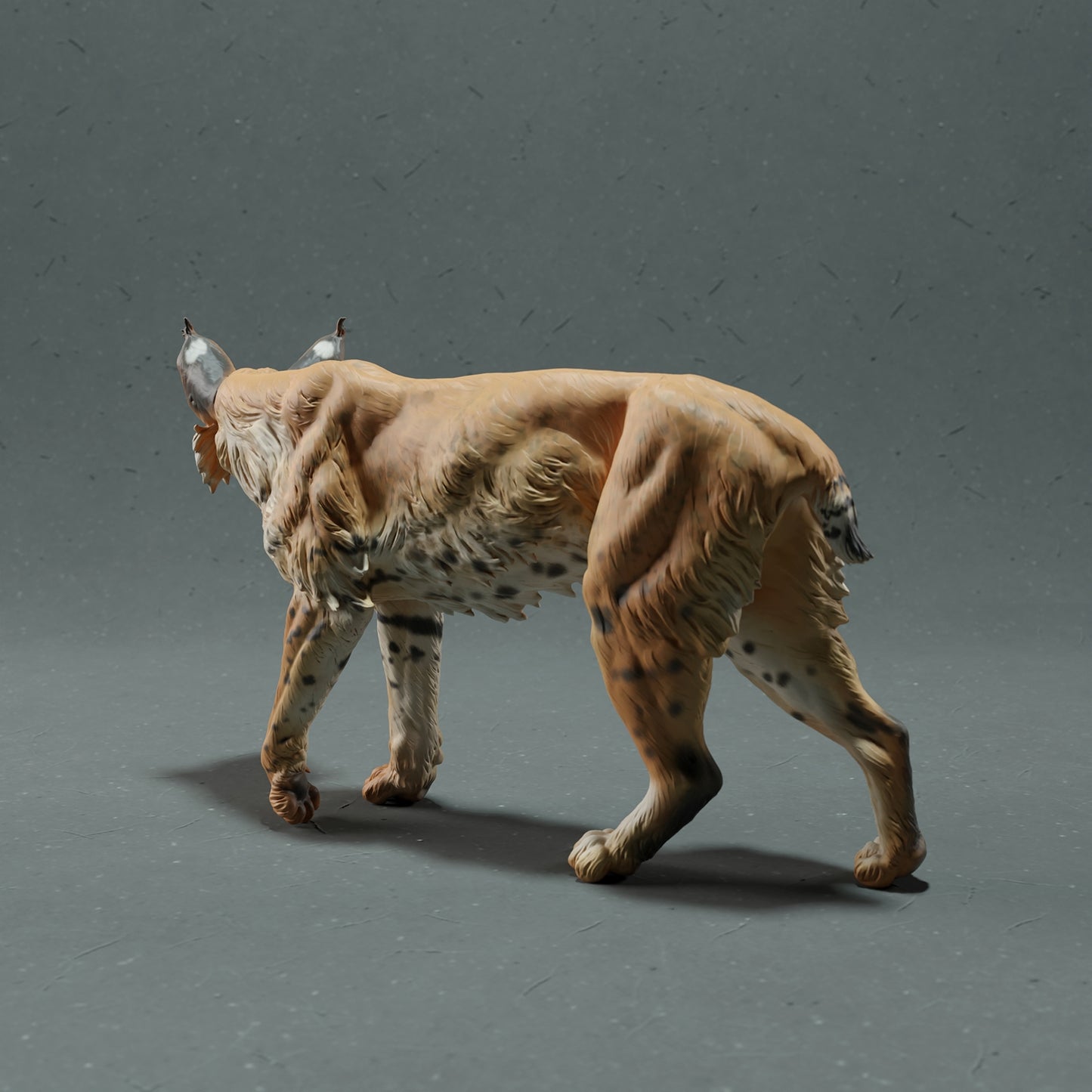 Bobcat - White ready to paint