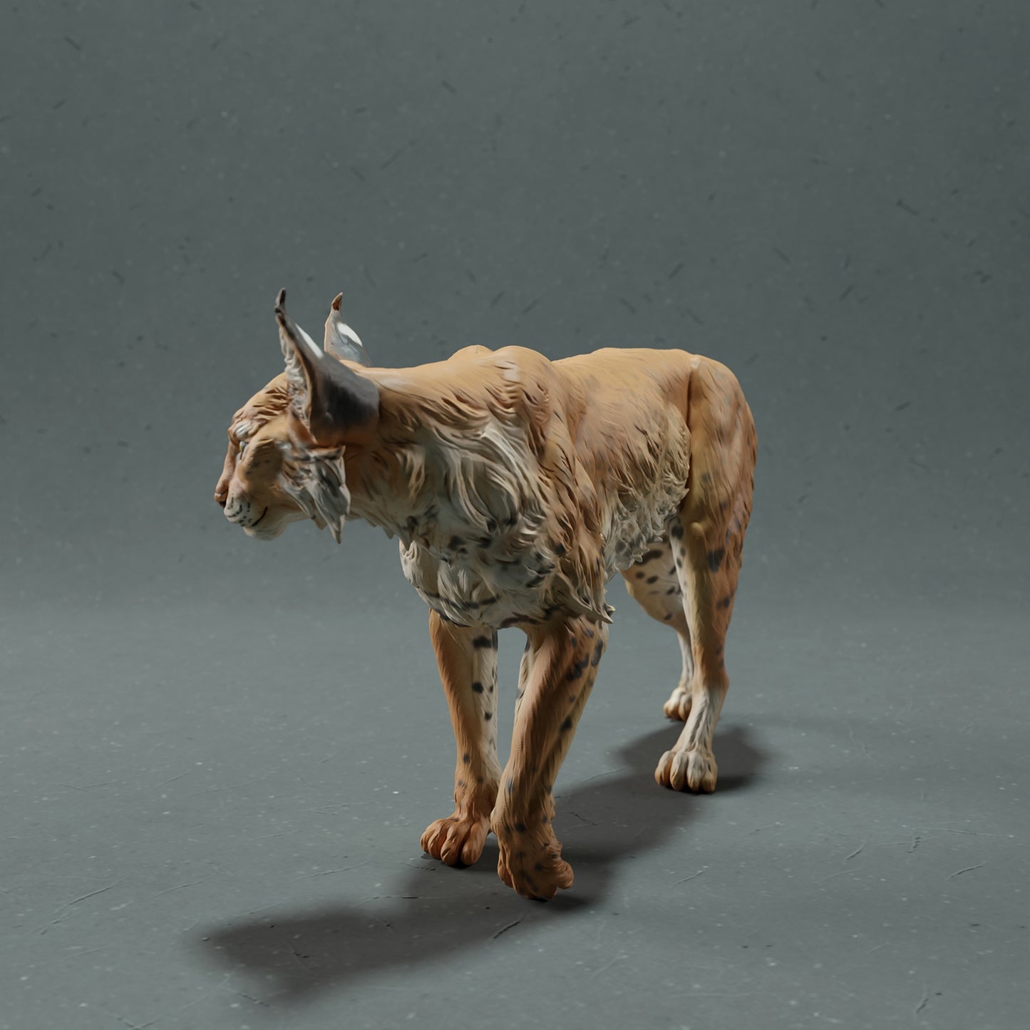 Bobcat - White ready to paint