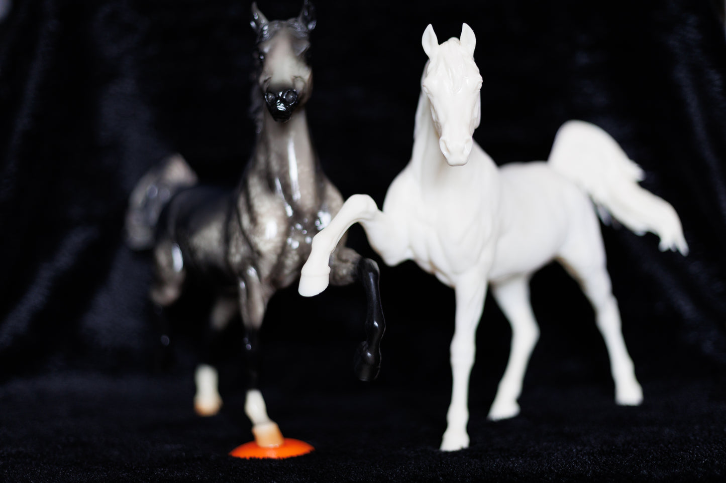 Sassy Arabian stallion Firefly - White resin ready to prep / paint LTD EDITION - Pre - Order