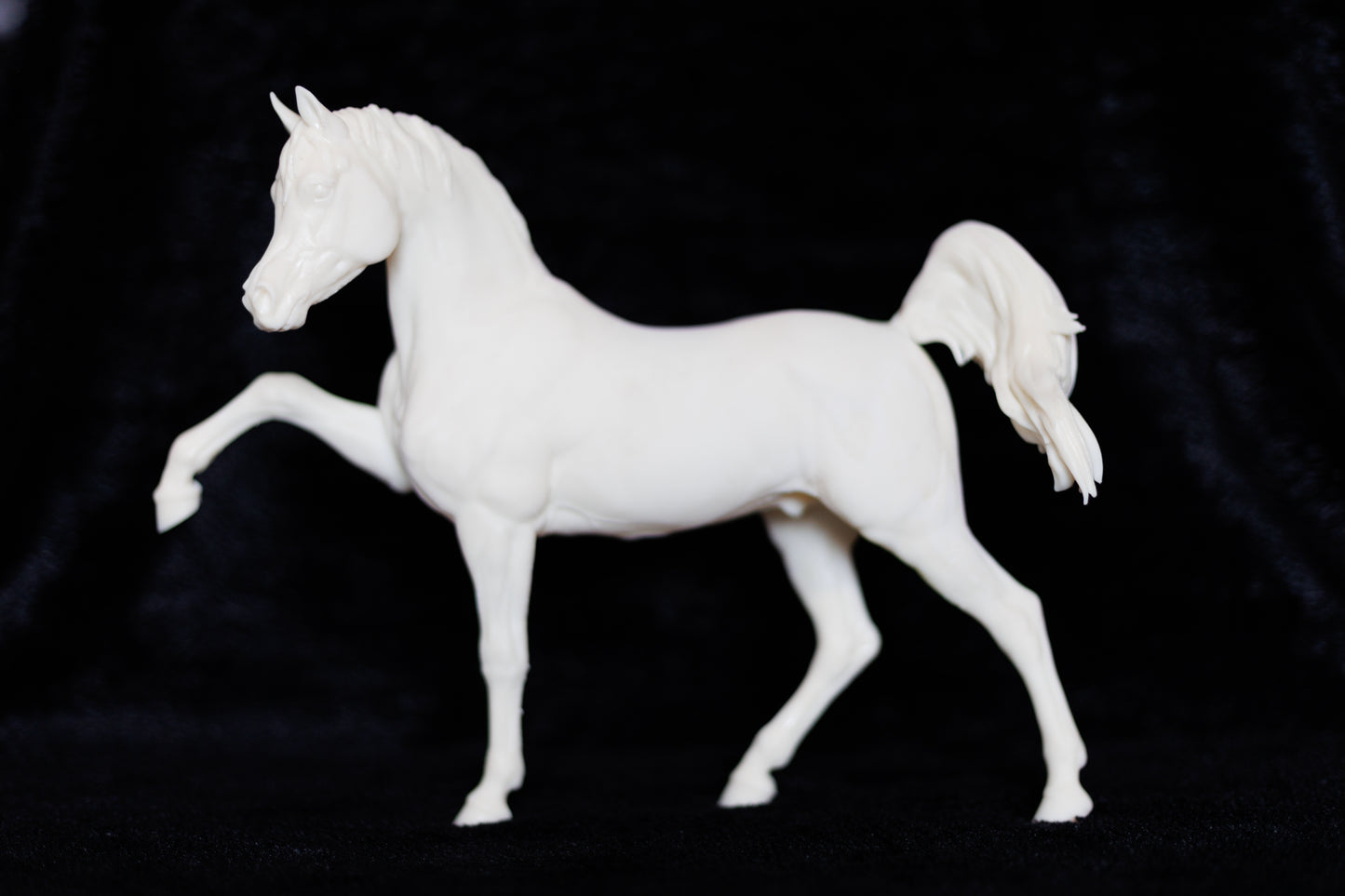 Sassy Arabian stallion Firefly - White resin ready to prep / paint LTD EDITION - Pre - Order
