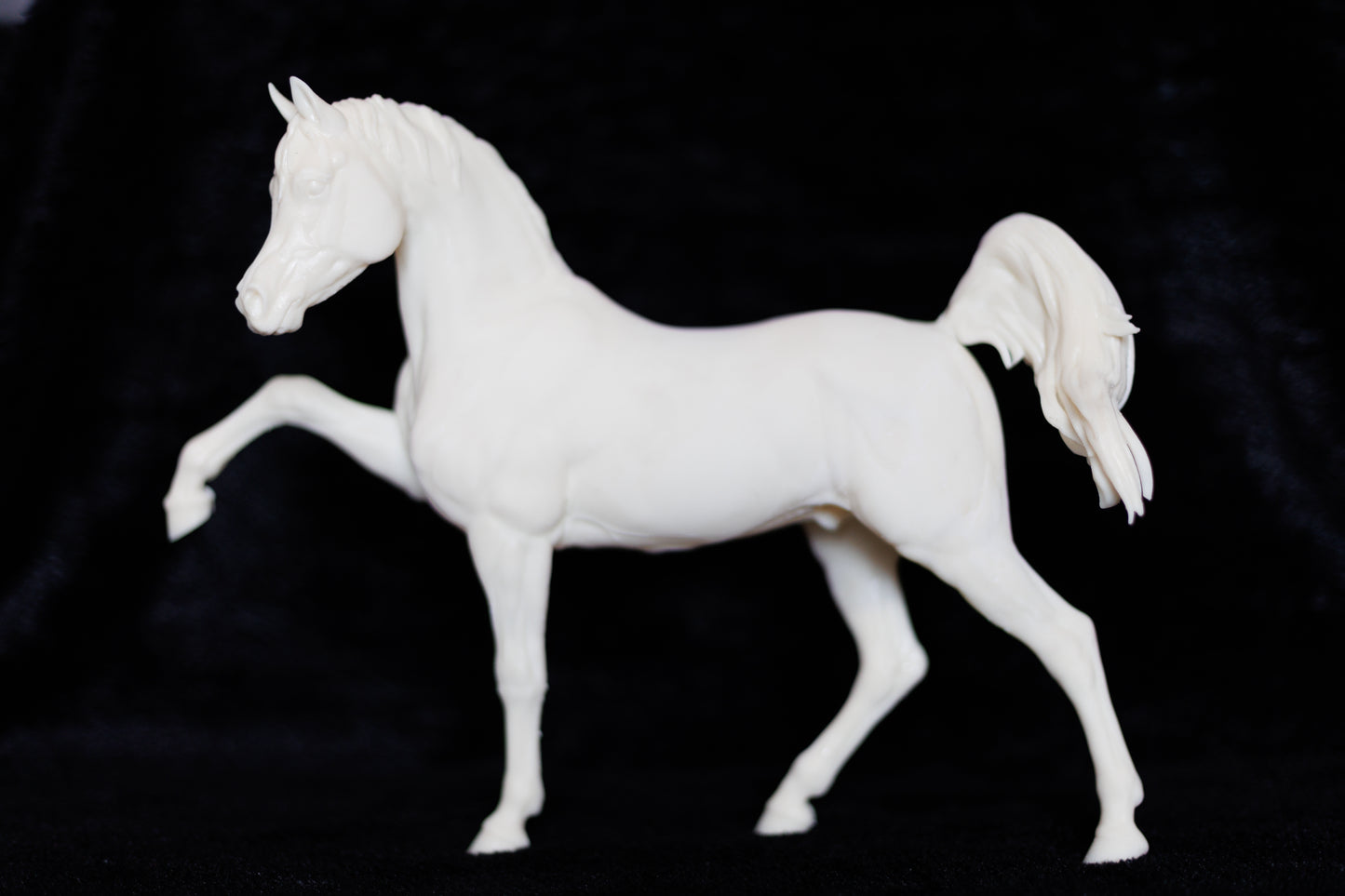 Sassy Arabian stallion Firefly - White resin ready to prep / paint LTD EDITION - Pre - Order