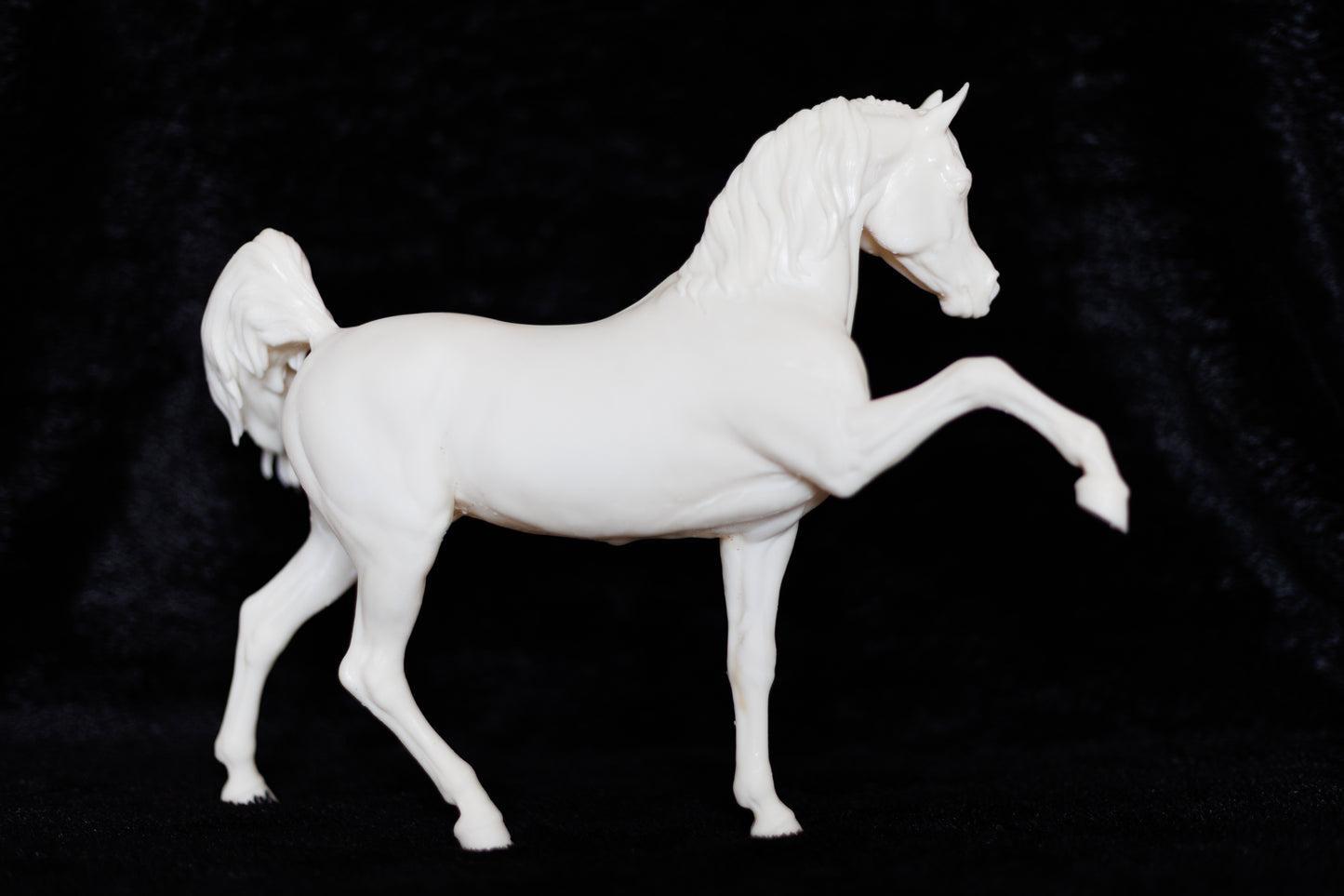 Sassy Arabian stallion Firefly - White resin ready to prep / paint LTD EDITION - Pre - Order