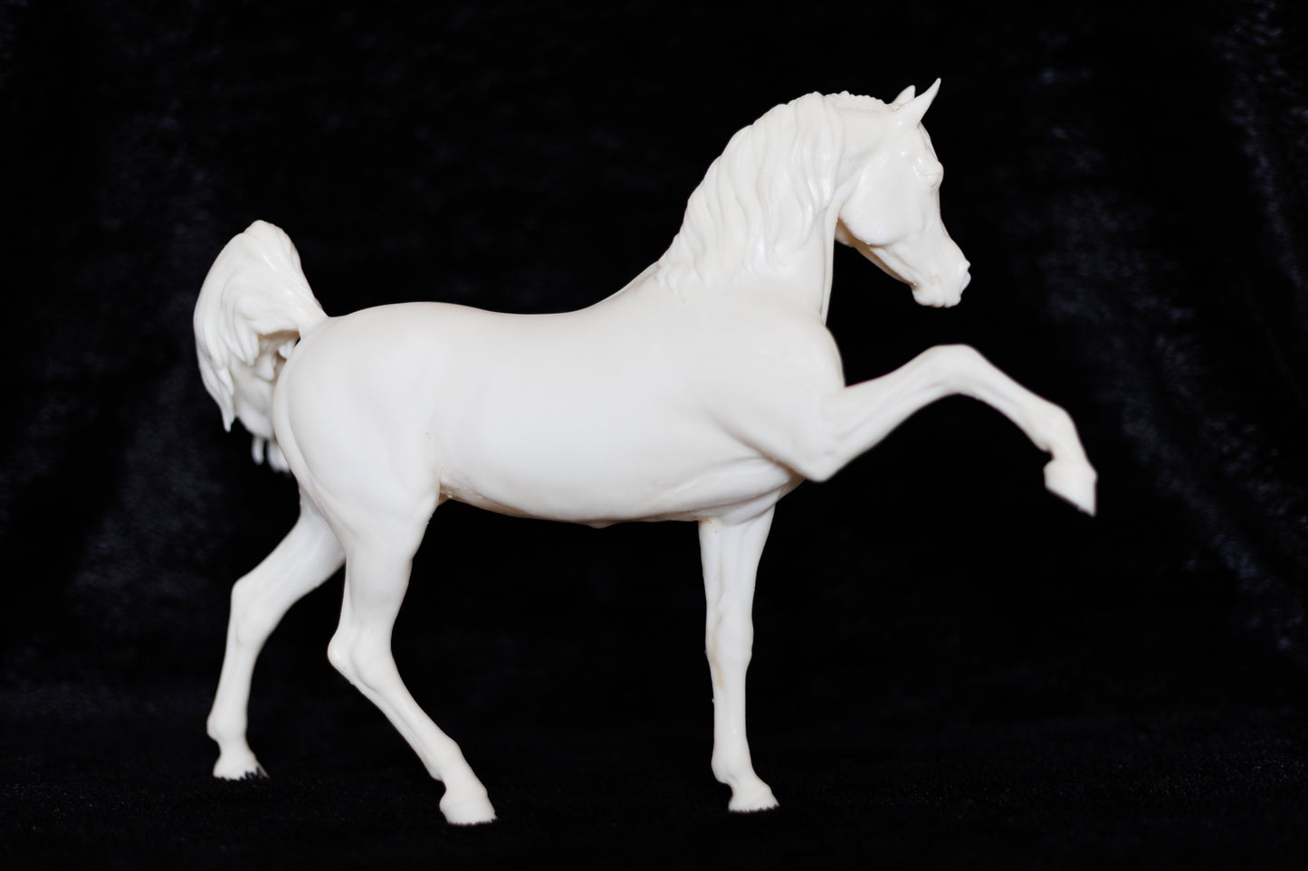 Sassy Arabian stallion Firefly - White resin ready to prep / paint LTD EDITION - Pre - Order