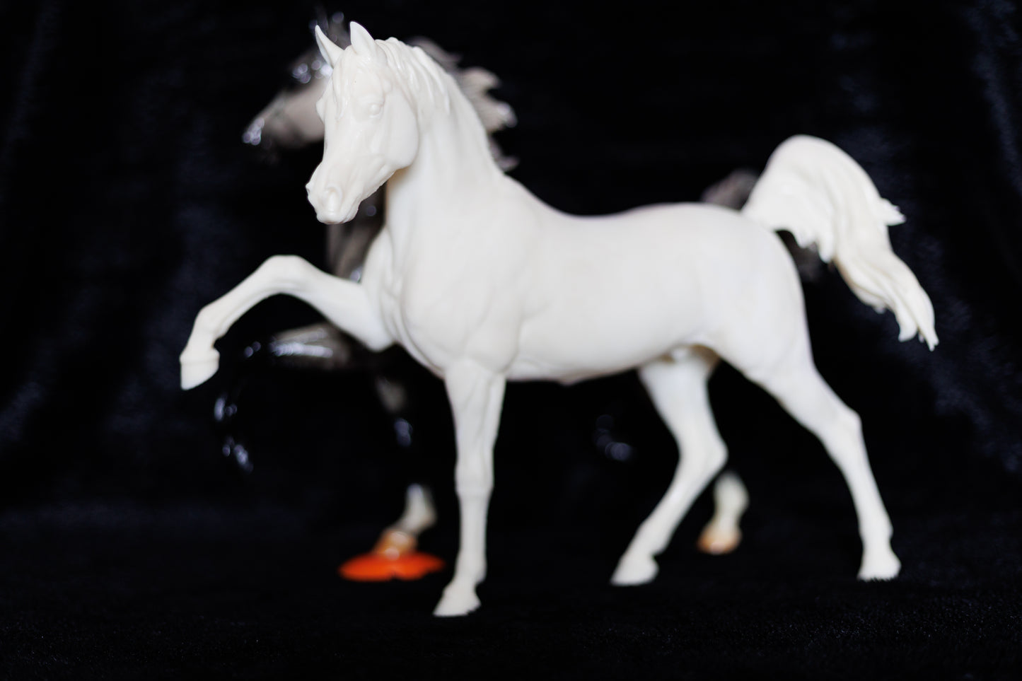 Sassy Arabian stallion Firefly - White resin ready to prep / paint LTD EDITION - Pre - Order