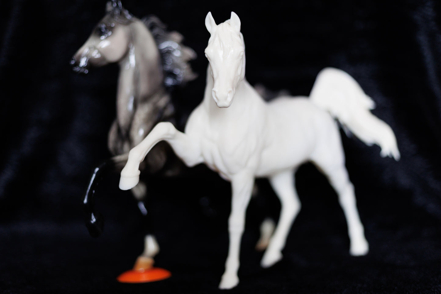 Sassy Arabian stallion Firefly - White resin ready to prep / paint LTD EDITION - Pre - Order