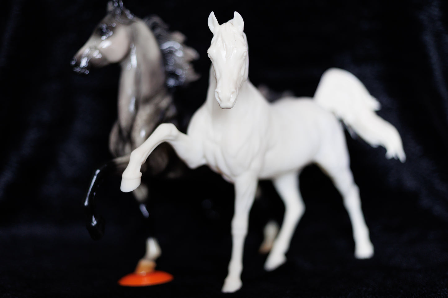 Sassy Arabian stallion Firefly - White resin ready to prep / paint LTD EDITION - Pre - Order