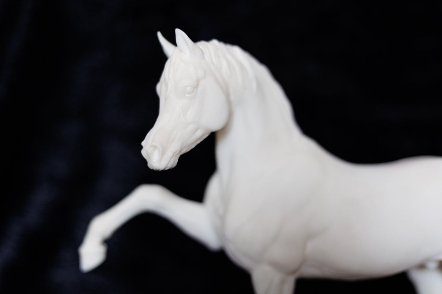 Sassy Arabian stallion Firefly - White resin ready to prep / paint LTD EDITION - Pre - Order