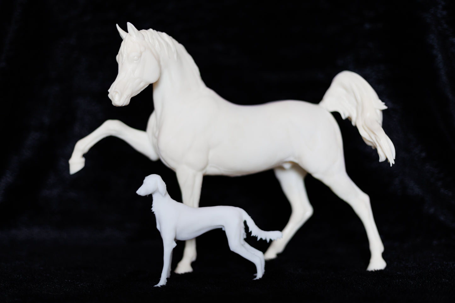 Sassy Arabian stallion Firefly - White resin ready to prep / paint LTD EDITION - Pre - Order