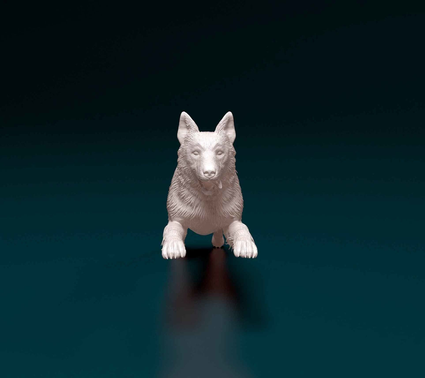 Australian Shepherd running - white ready to paint