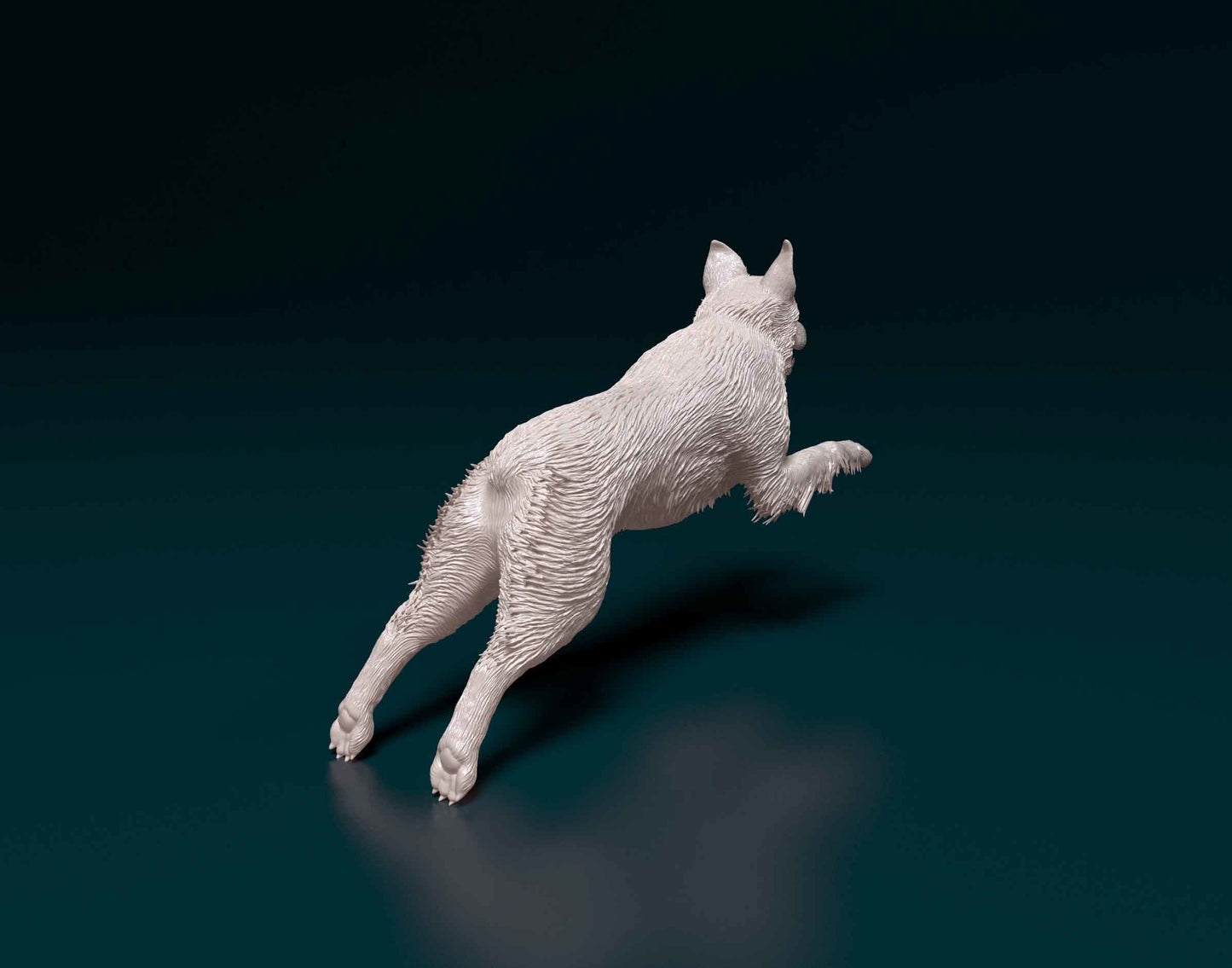 Australian Shepherd running - white ready to paint