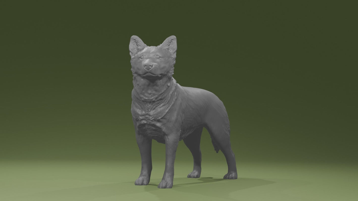 Australian cattle dog - white ready to paint