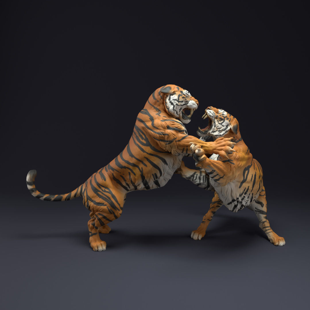 Tigers battling - White ready to paint