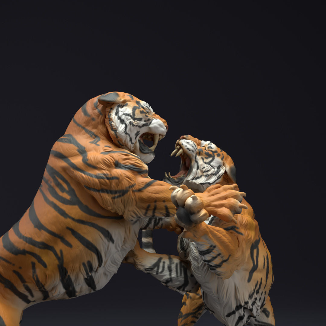 Tigers battling - White ready to paint