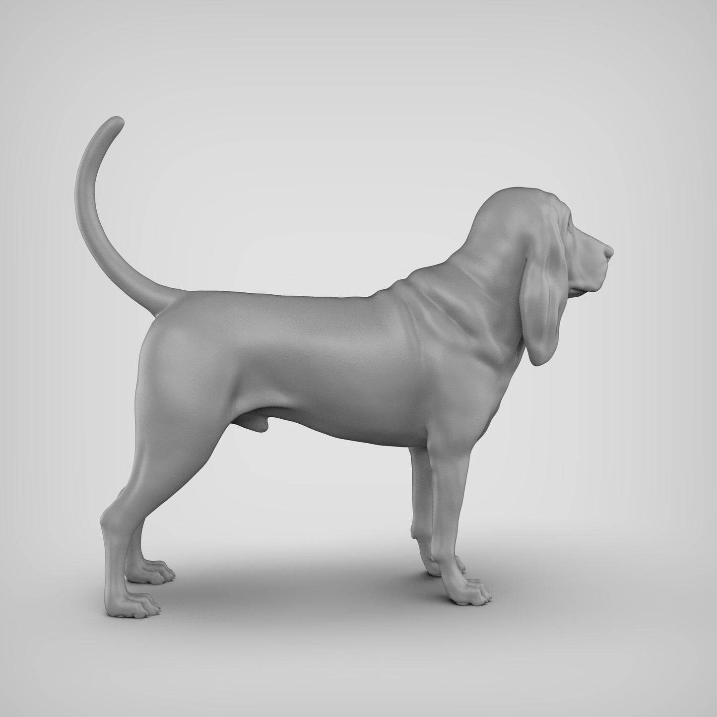 Bloodhound - white ready to paint