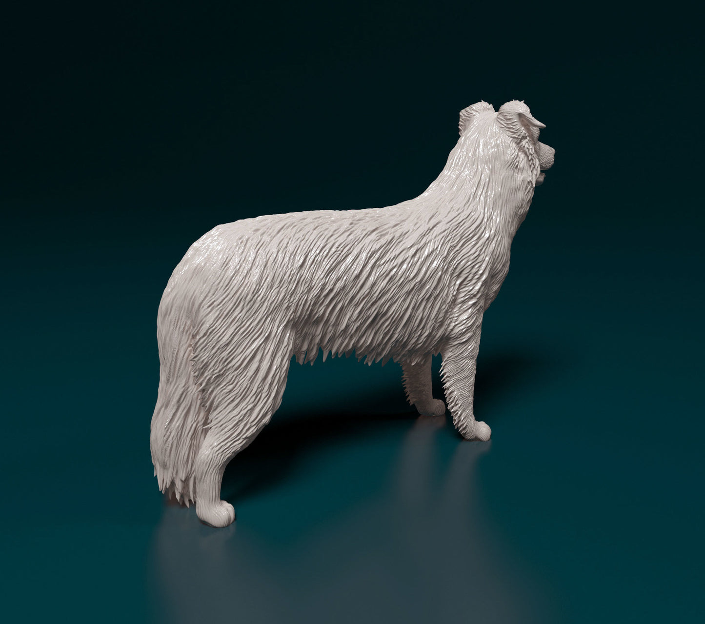 Border collie - white ready to paint