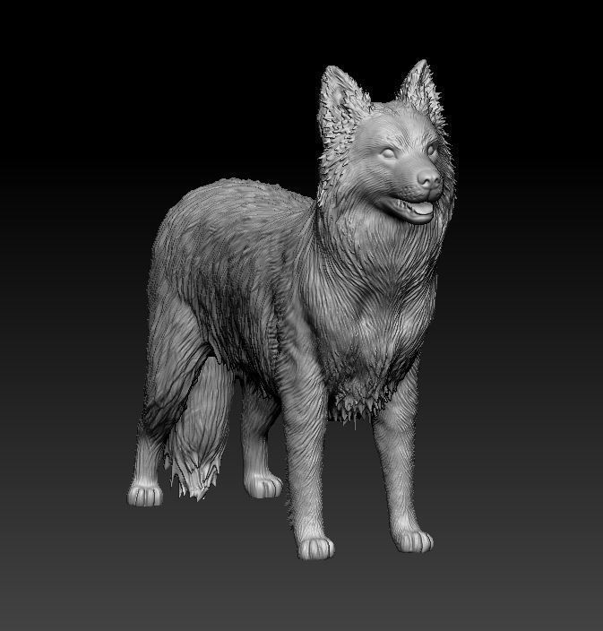 Border collie - white ready to paint