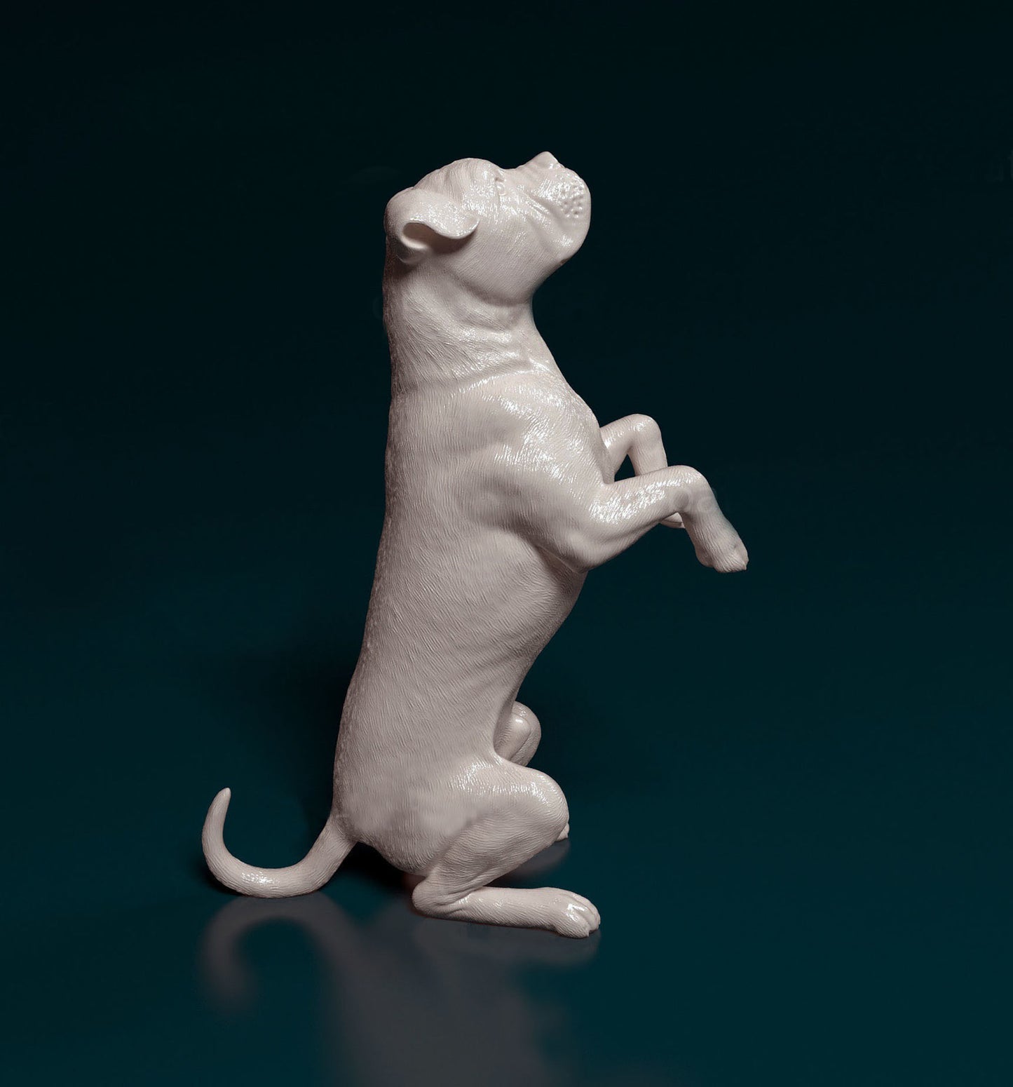 Cane corso - white ready to paint
