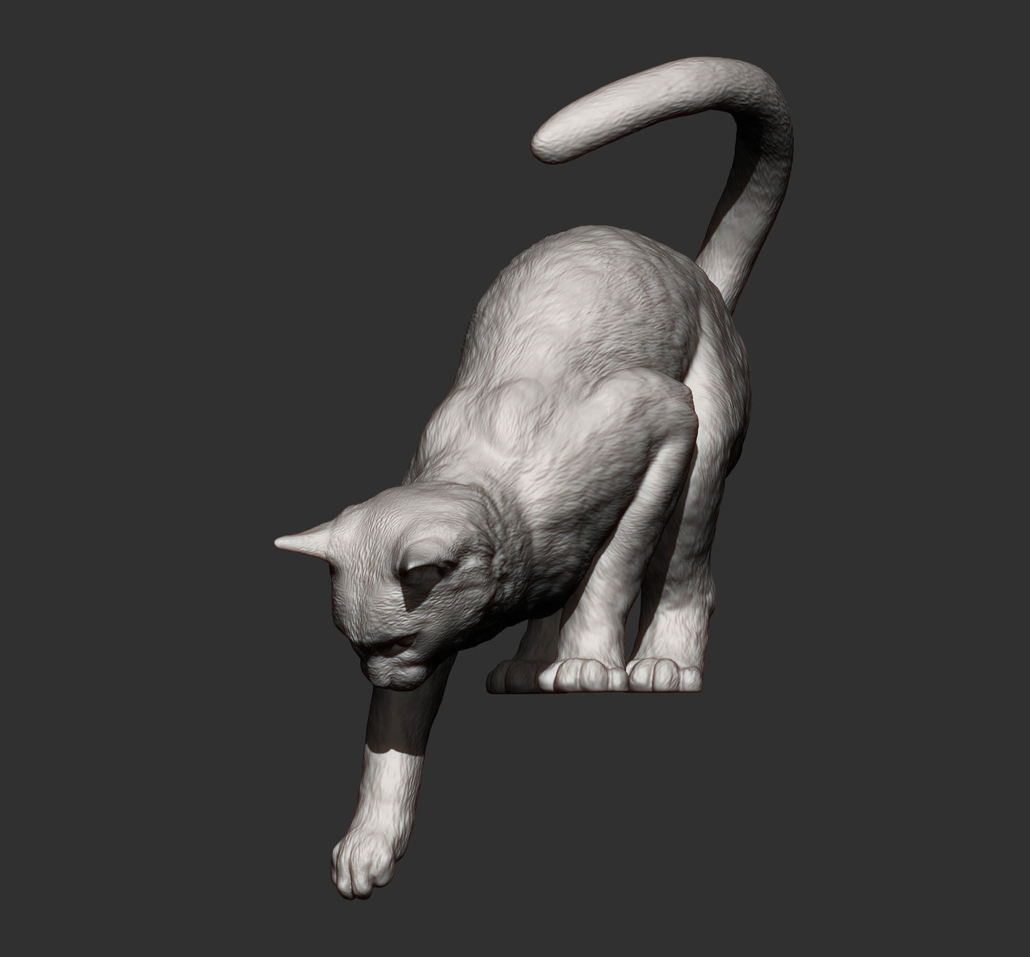 Cats - Many options - White resin ready to paint