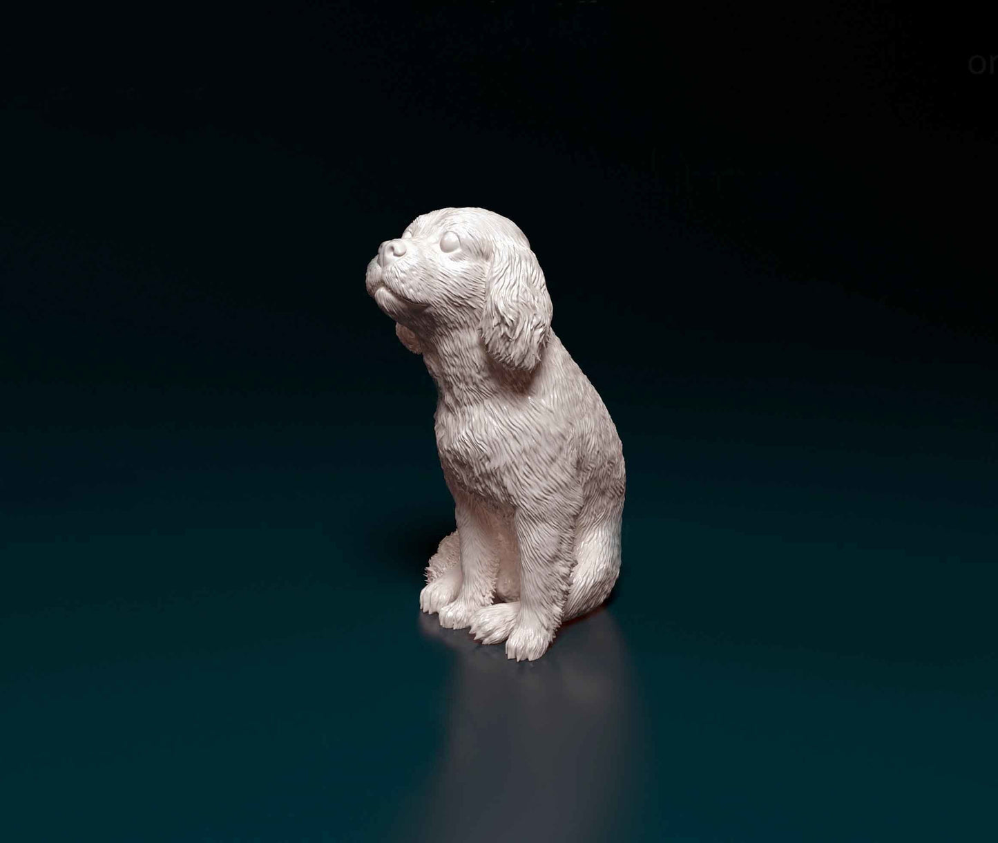 Cavalier king charles sitting - white ready to paint