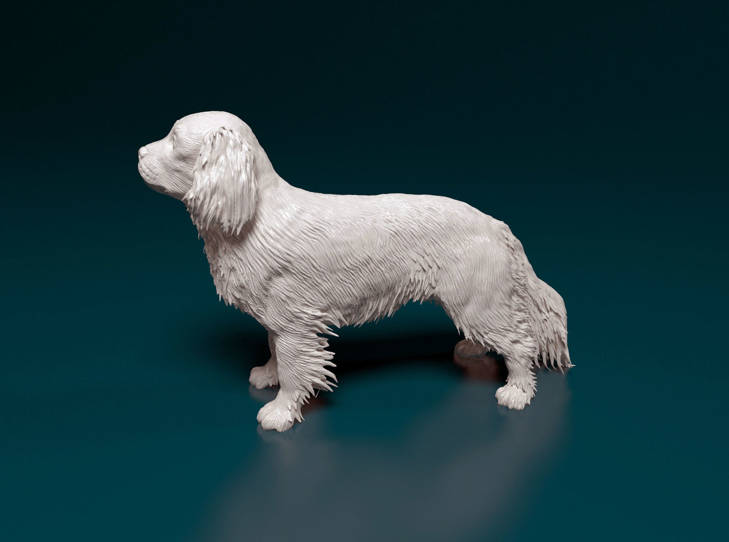 Cavalier king charles standing - white ready to paint