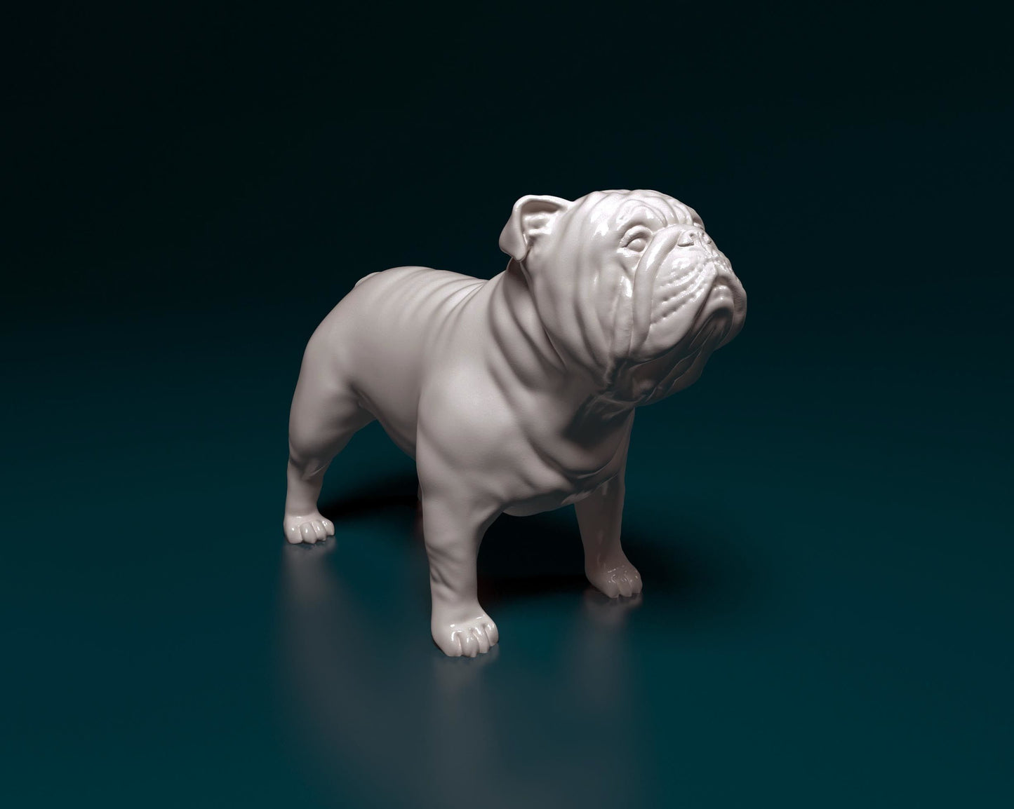 English Bulldog - white ready to paint