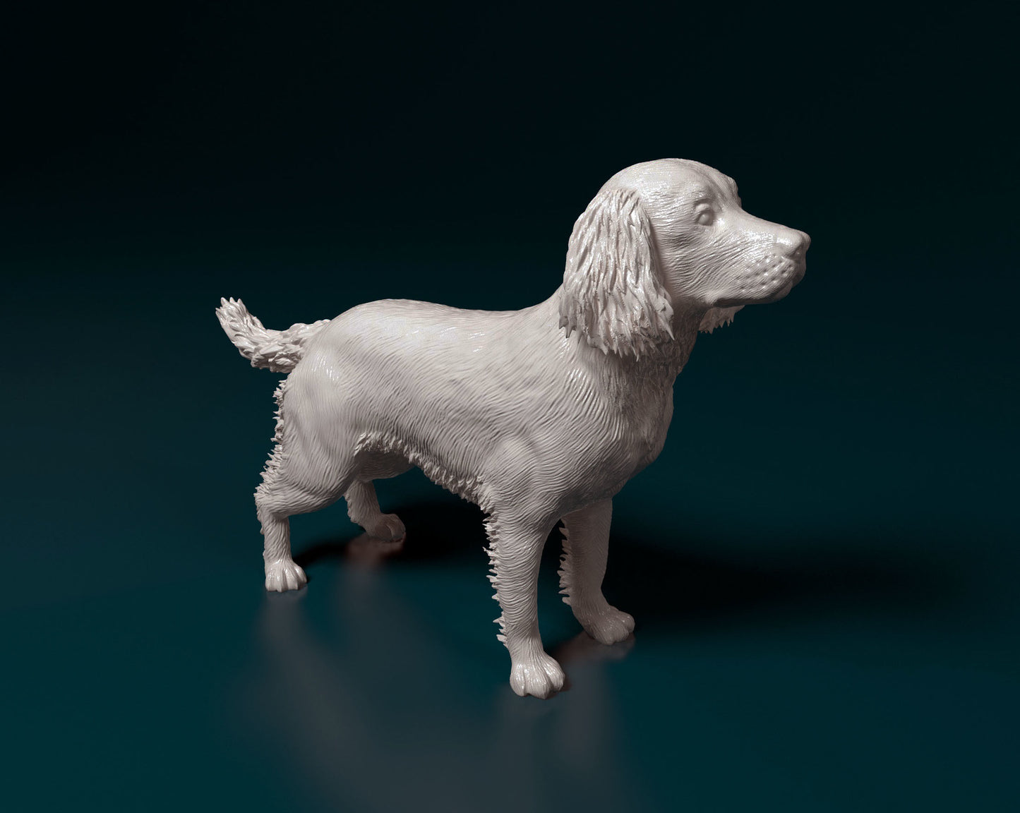 English Springer spaniel - white ready to paint