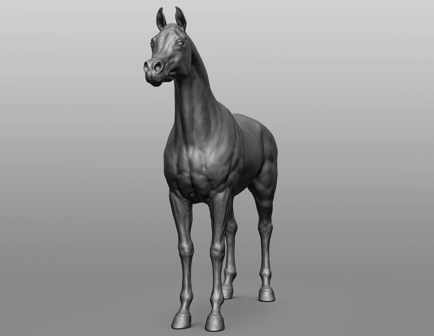 Standing Arabian - White resin ready to prep / paint LTD EDITION - Pre - Order