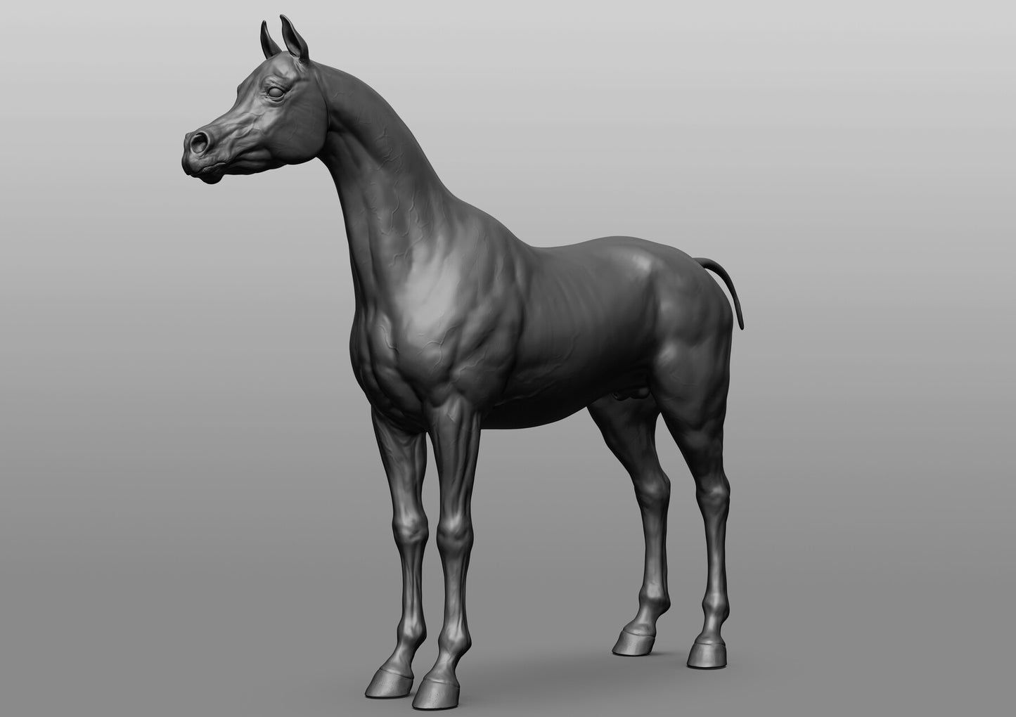 Standing Arabian - White resin ready to prep / paint LTD EDITION - Pre - Order