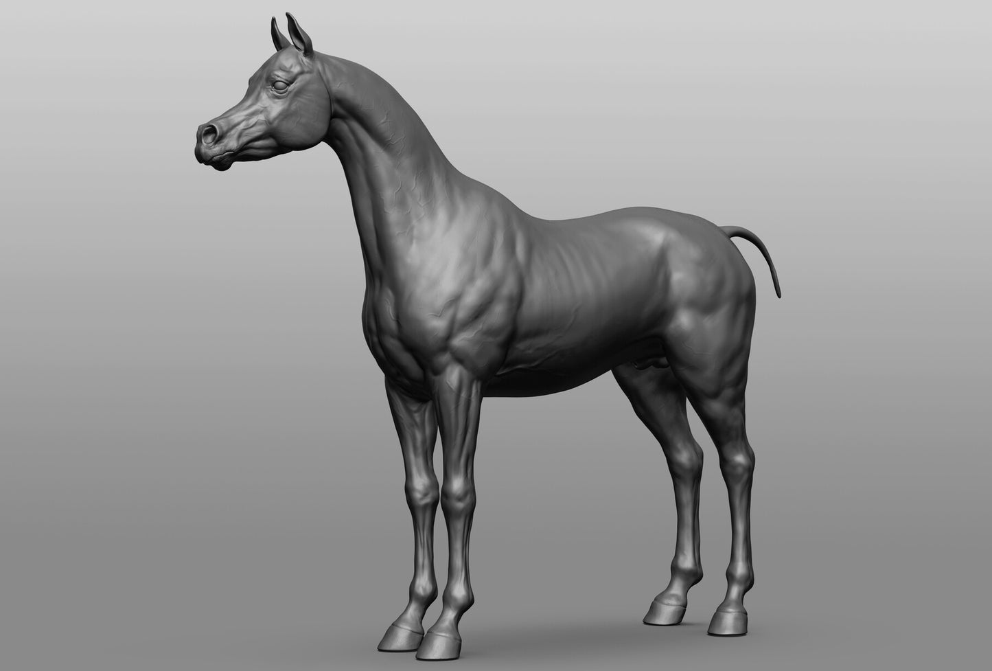 Standing Arabian - White resin ready to prep / paint LTD EDITION - Pre - Order