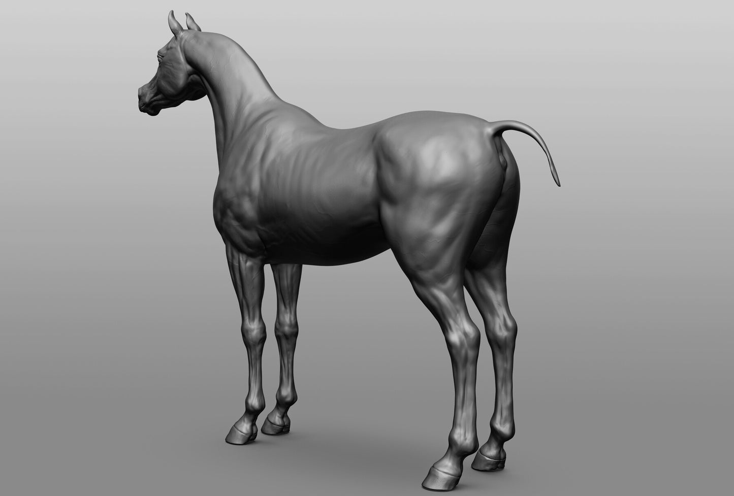 Standing Arabian - White resin ready to prep / paint LTD EDITION - Pre - Order