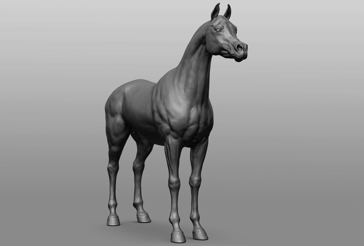 Standing Arabian - White resin ready to prep / paint LTD EDITION - Pre - Order