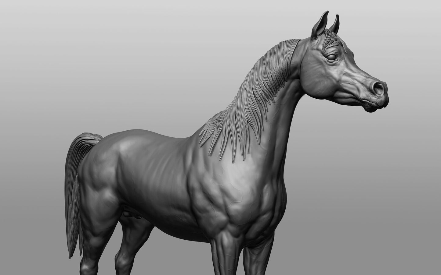 Standing Arabian - White resin ready to prep / paint LTD EDITION - Pre - Order