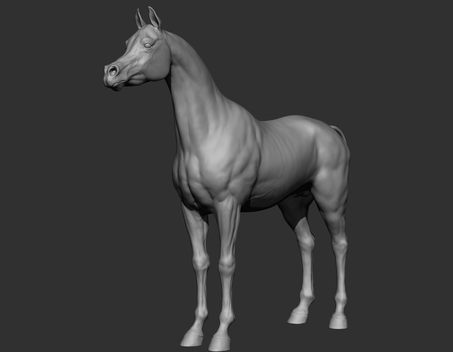 Standing Arabian - White resin ready to prep / paint LTD EDITION - Pre - Order