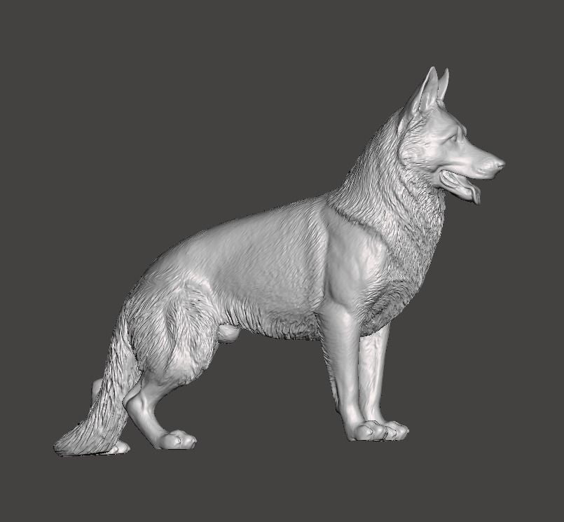 type 2 german shepherd - white ready to paint