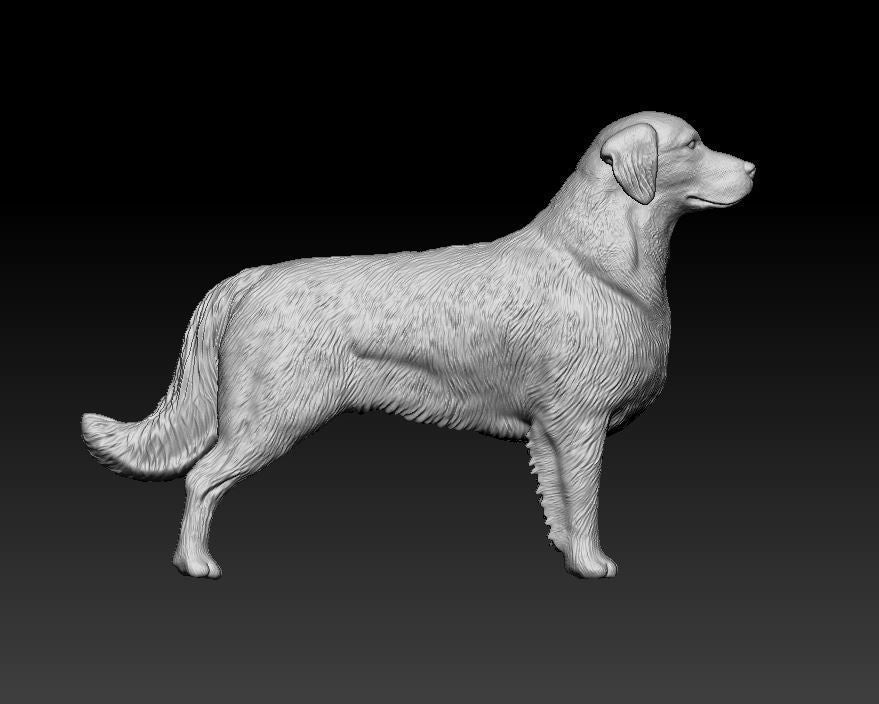 Golden Retriever - white ready to paint