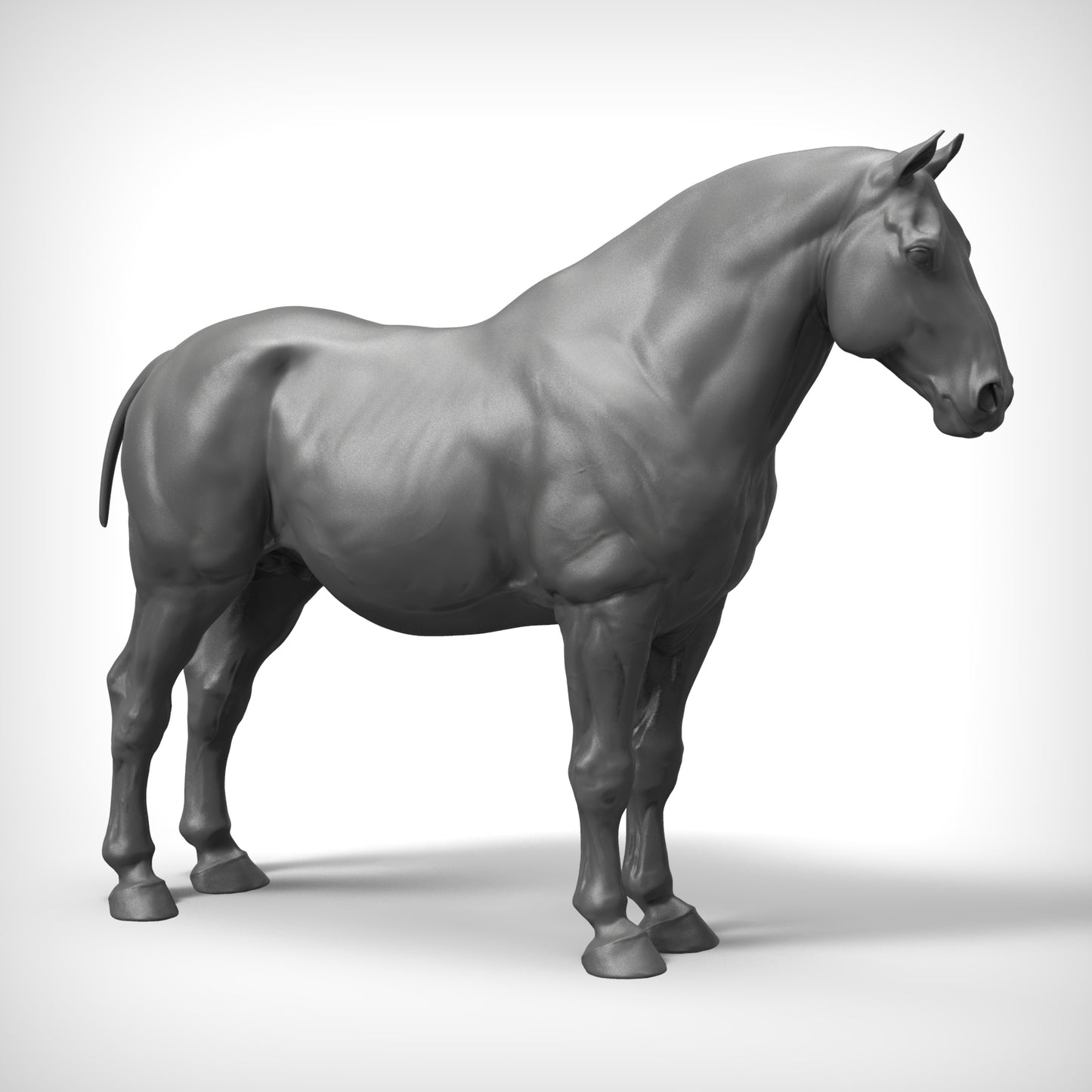 Heavy horse stallion Base - White resin ready to prep / paint - Pre - Order