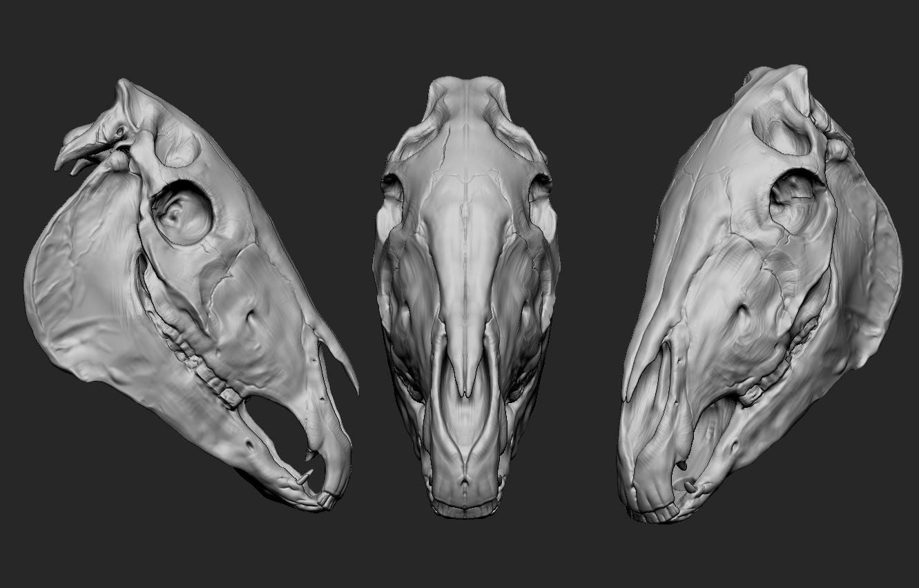 Horse skull - Choose your size - White resin